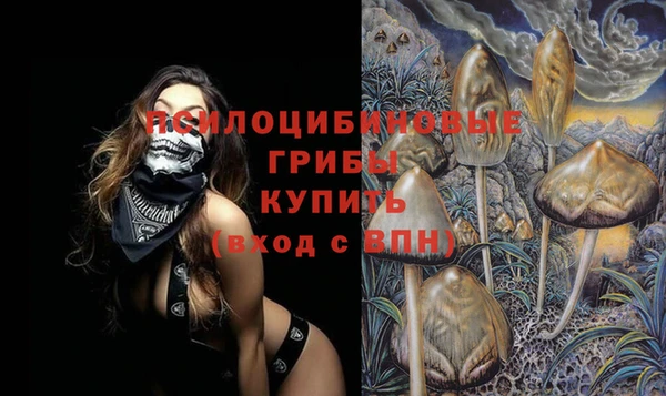 ПСИЛОЦИБИНОВЫЕ ГРИБЫ Алексеевка