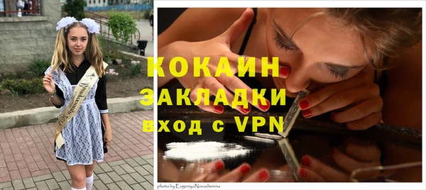 дживик Алзамай