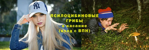 ПСИЛОЦИБИНОВЫЕ ГРИБЫ Алексеевка