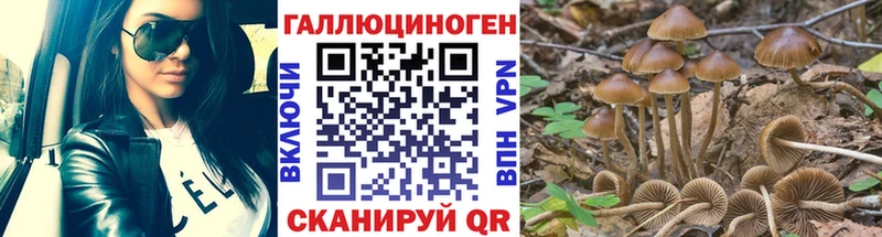 Галлюциногенные грибы прущие грибы  наркотики  mega сайт  Кольчугино 